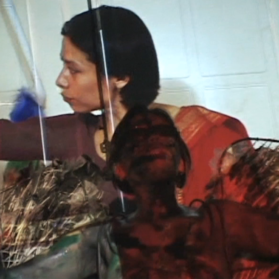 VIII Bienal Internacional de Cuenca Iconofilia 