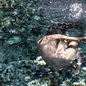 EARTH | Photography Exhibition