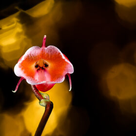 EARTH | Photography Exhibition